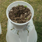 Clear Plastic Plant Nursery Pots with Drainage Holes Transparent Orchid Planter Seedling Container