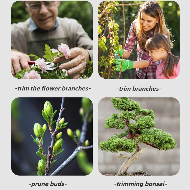 Heavy Duty Bypass Pruners – 7 PC Stainless Steel Garden Branch & Bonsai Trimming Kit with Bag