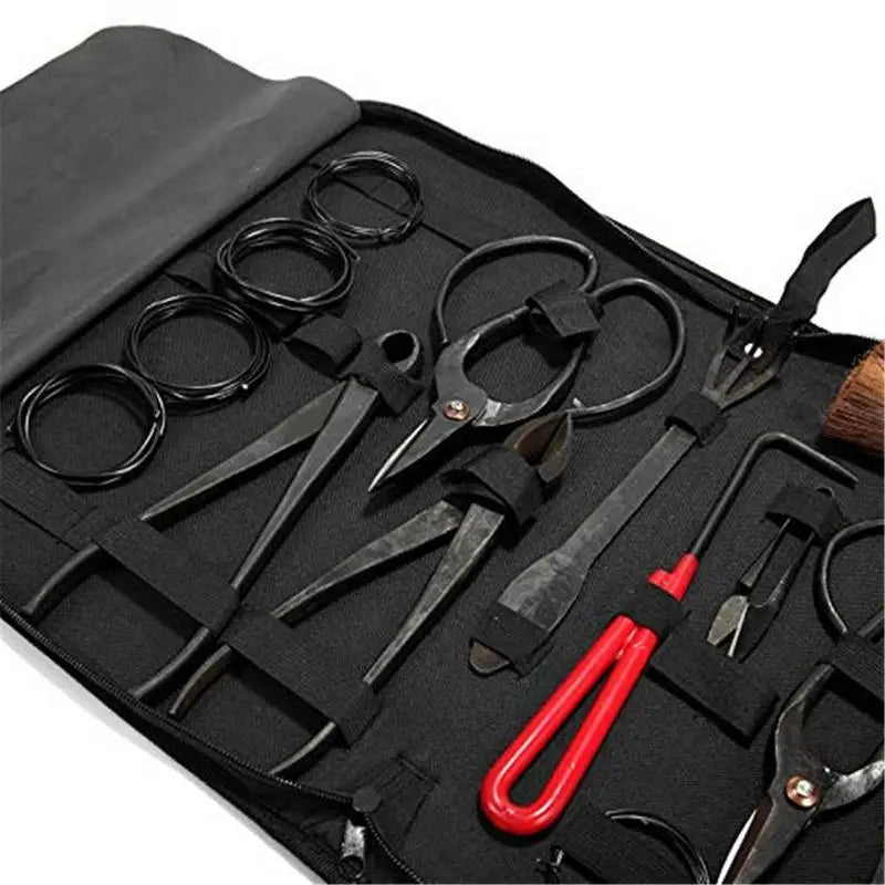 Bonsai Pruning Tool Set 10-Piece Carbon Steel Gardening Kit with Scissors, Rake and Carry Case