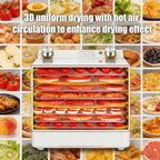 Portable Food Dehydrator Machine 6 Layer Stainless Steel Dryer with Adjustable Temperature Timer
