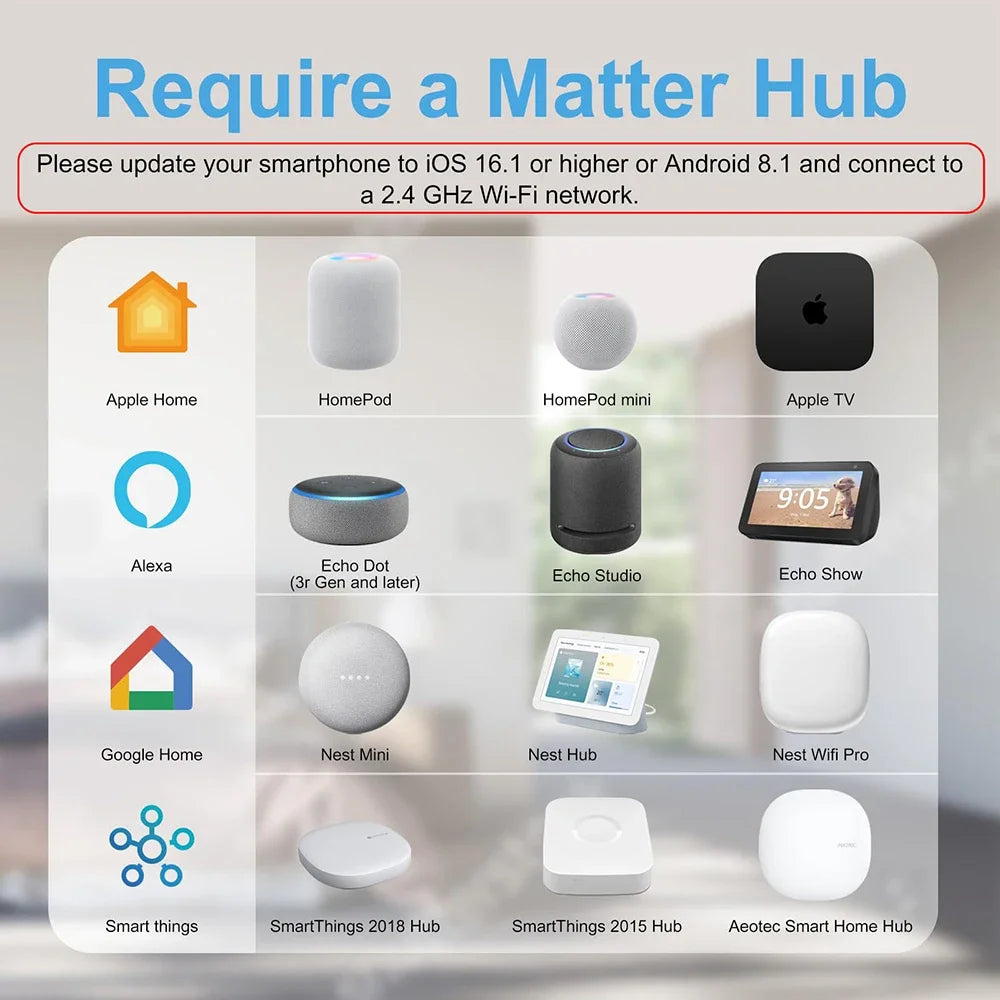 Smart AU Power Outlet Plug with 2.4GHz WiFi – App Control and Voice Commands for Home Automation