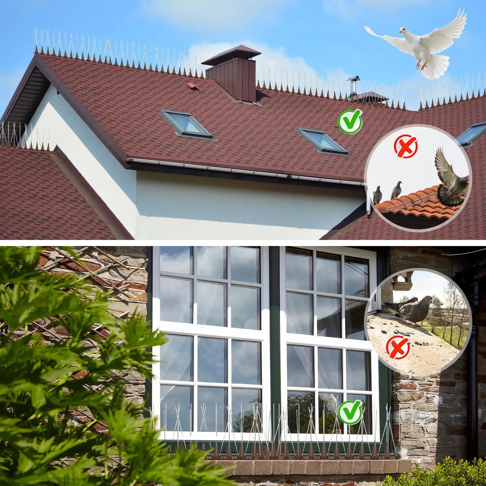Bird Spike Strips 10 Pack Stainless Steel Anti Bird Deterrent for Fence Roof Balcony Window Ledge