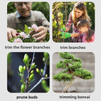 Stainless Steel Gardening Trimming Tools 4/7-Piece Bonsai Pruner Set