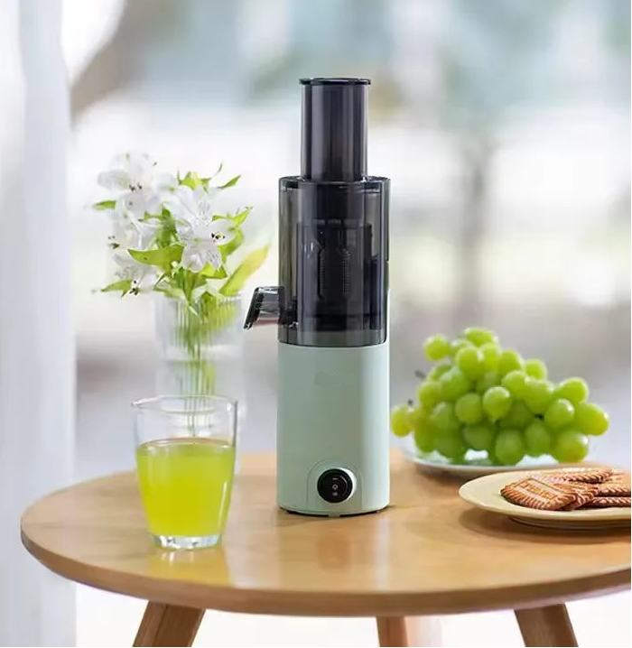 Portable Mini Slow Juicer Compact Fruit and Vegetable Juice Extractor with Residue Separation